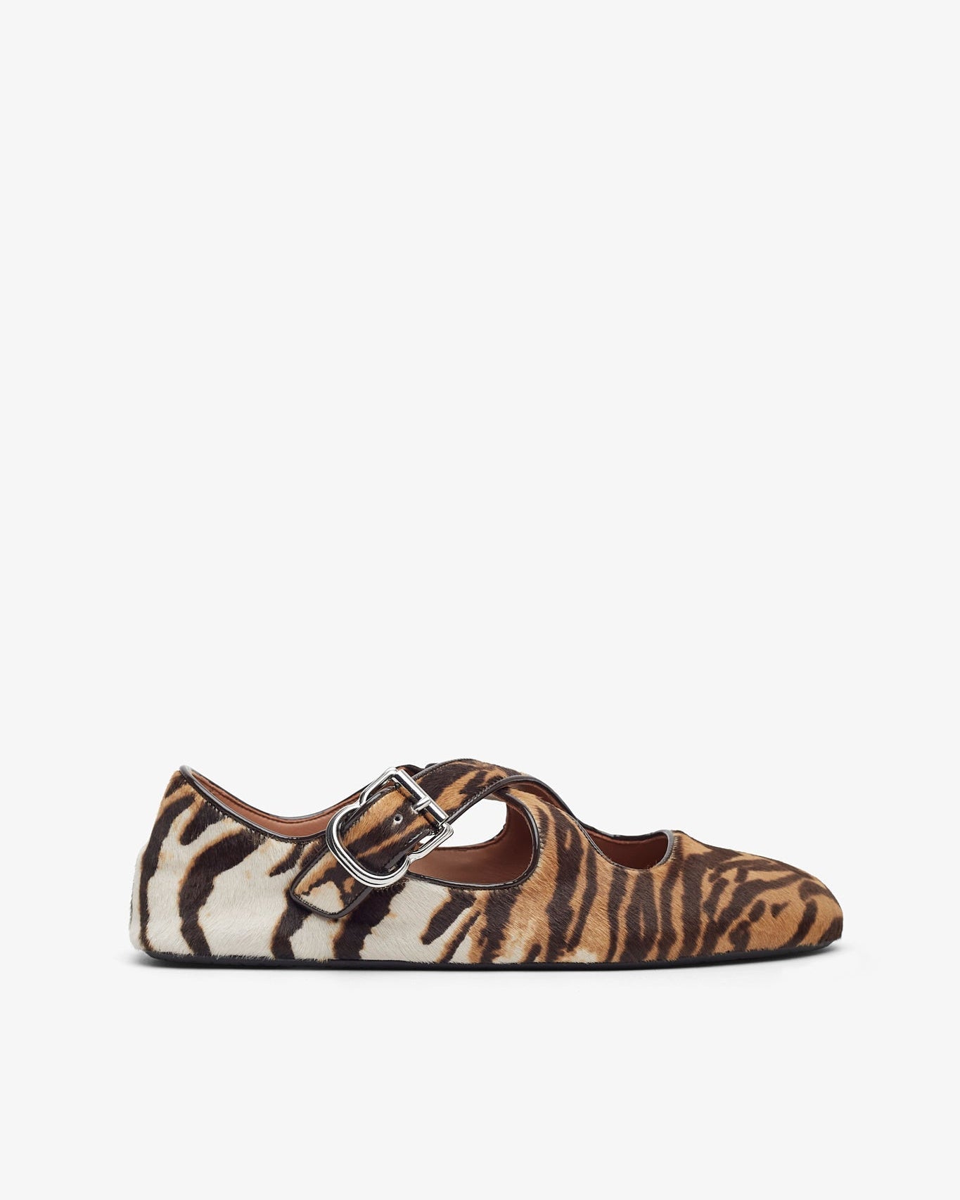 Zebra print shoe with a buckle on a white background